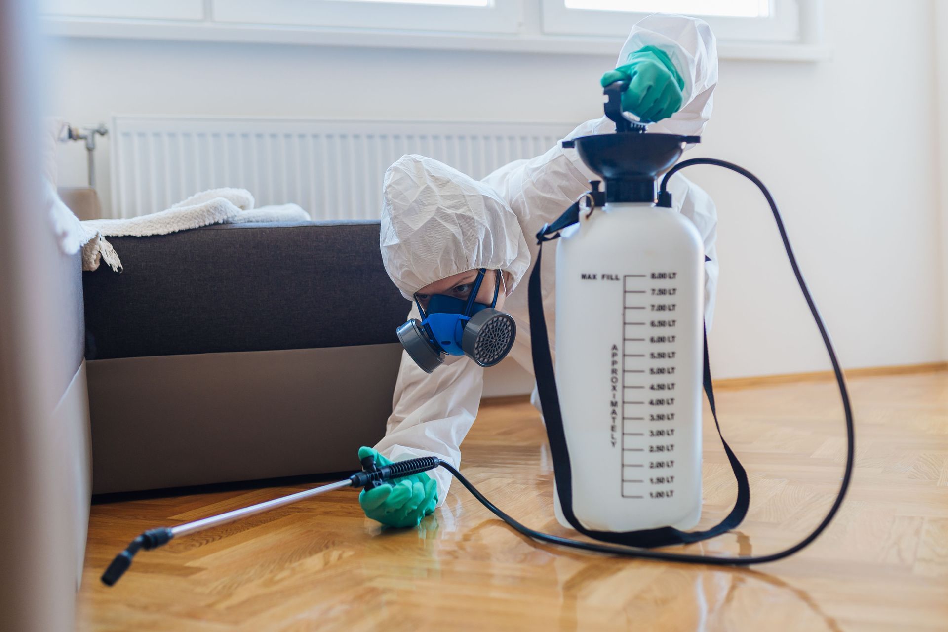Cool Review About Pest Control Pflugerville