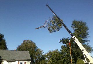 Crane service