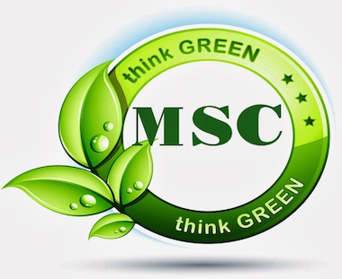 MSC Janitorial Service Inc - Logo