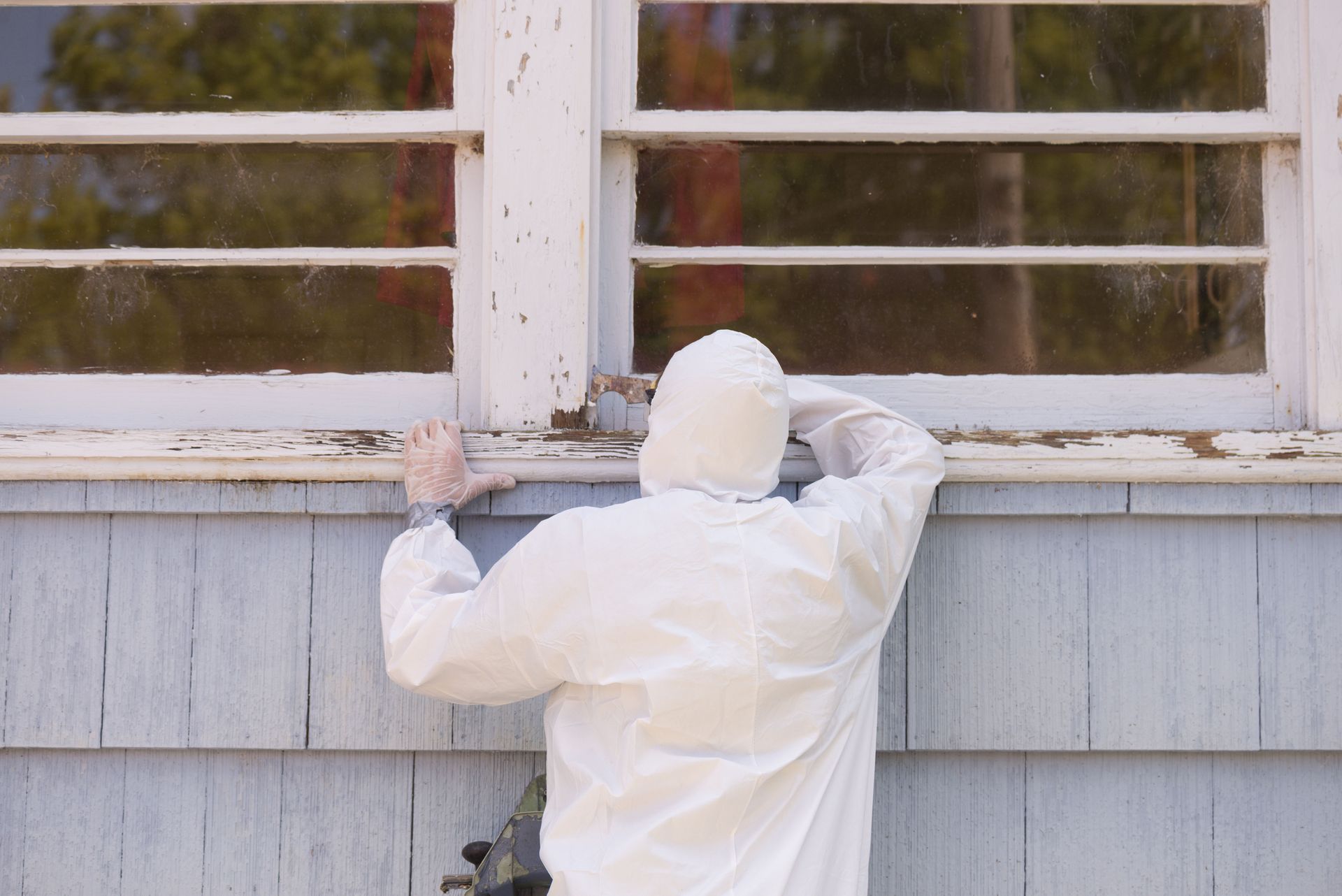 asbestos clean up company