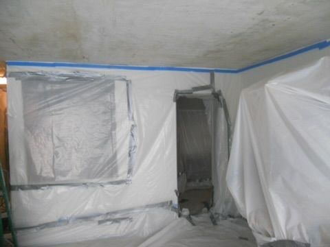 Mold remediation