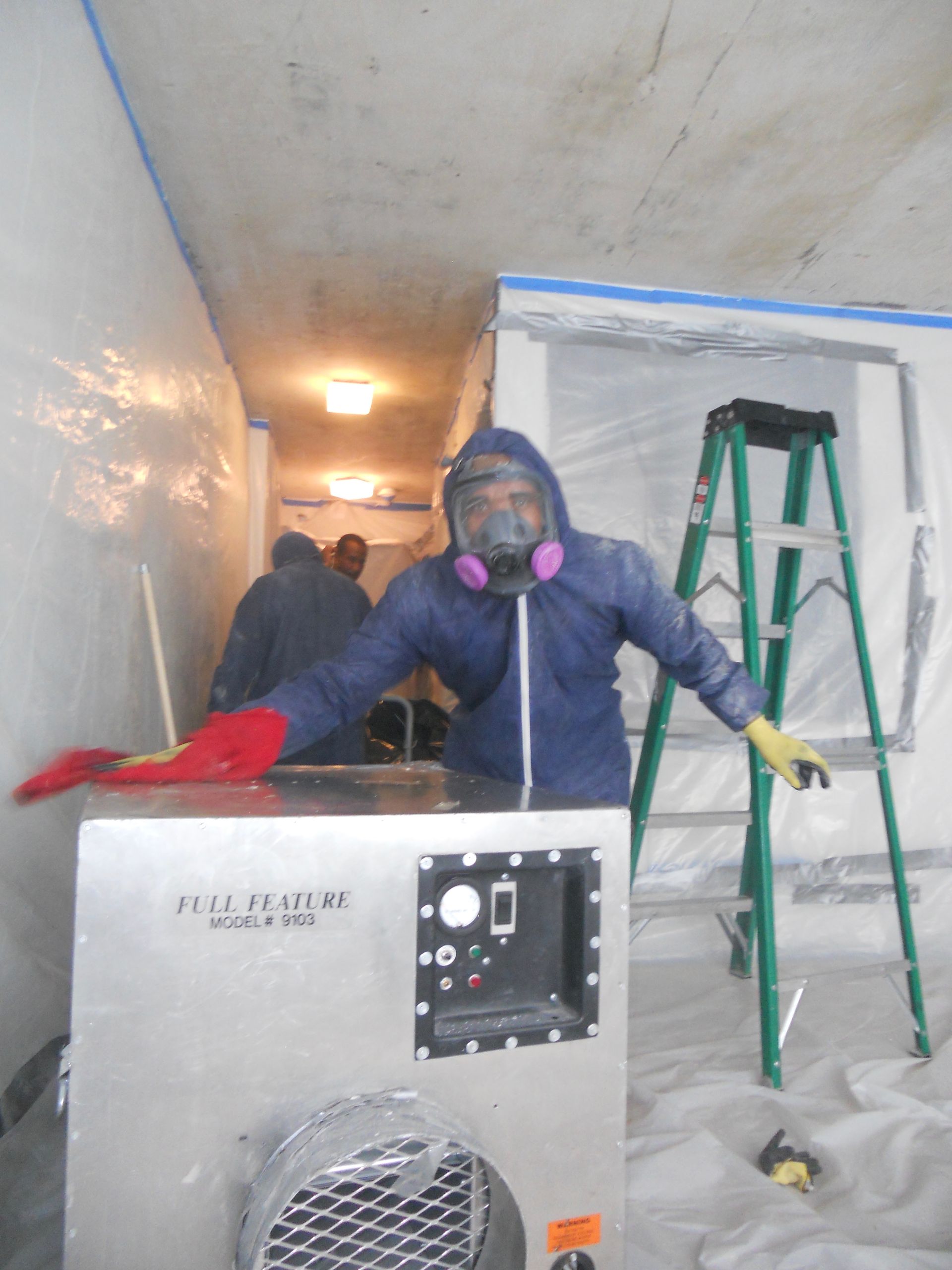 Mold remediation service