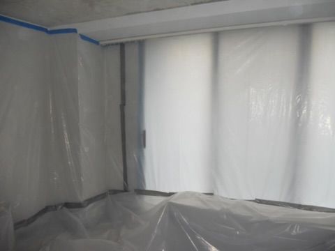 Mold removal service