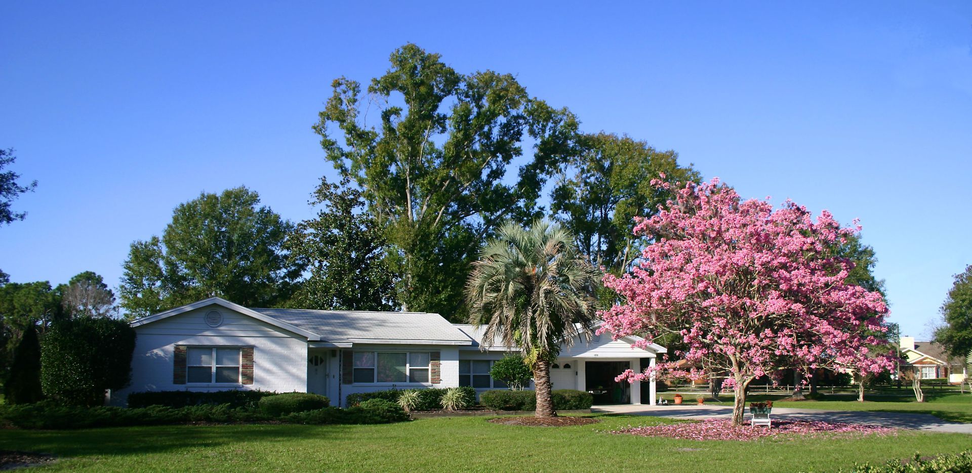 The Future of the Lawn Care Service Industry