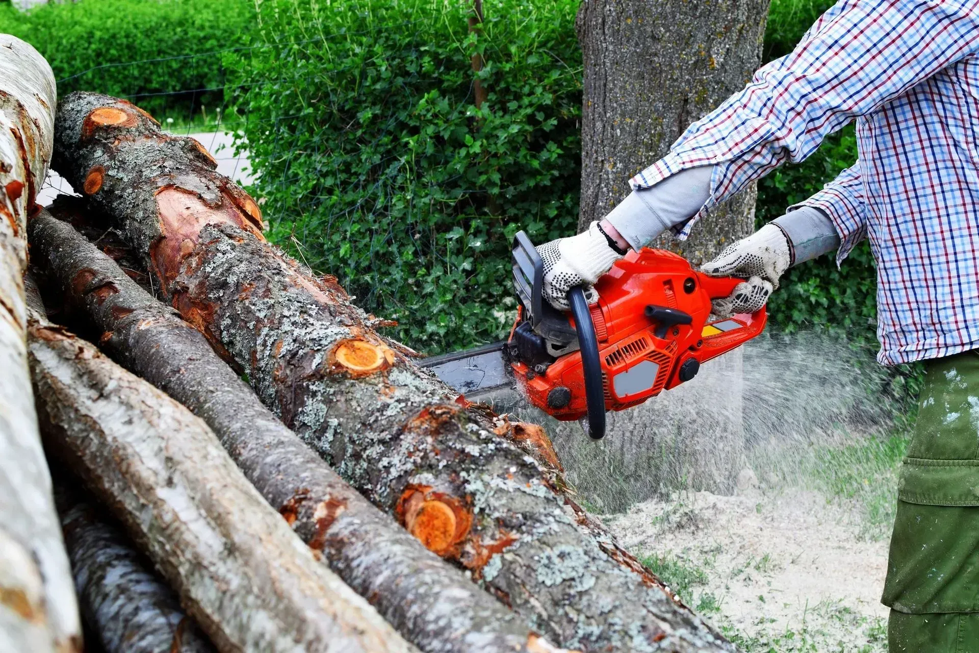 A man is cutting a pile of logs with a chainsaw.