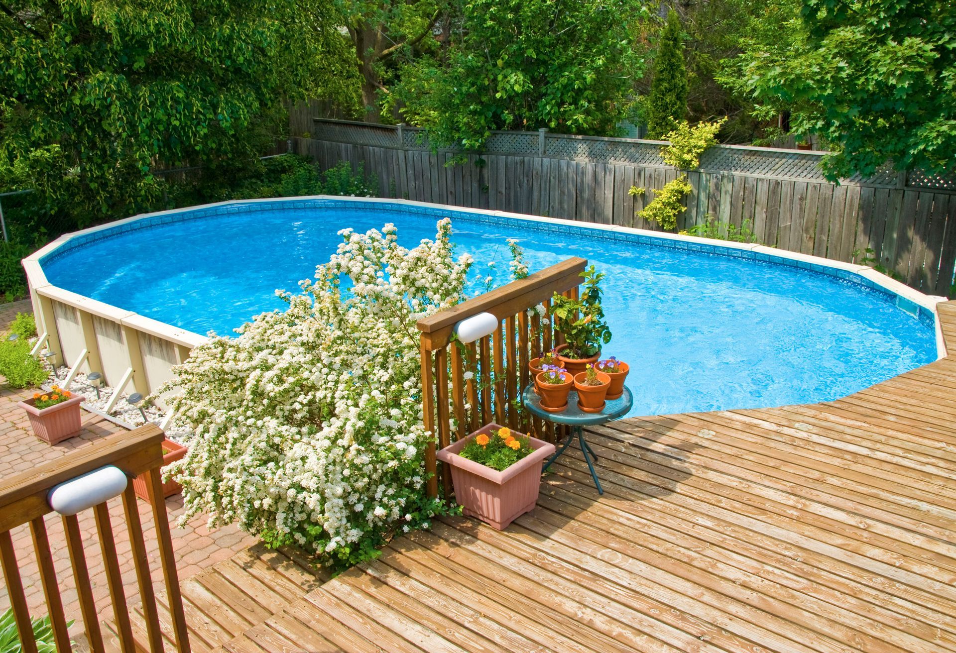 swimming pool builders