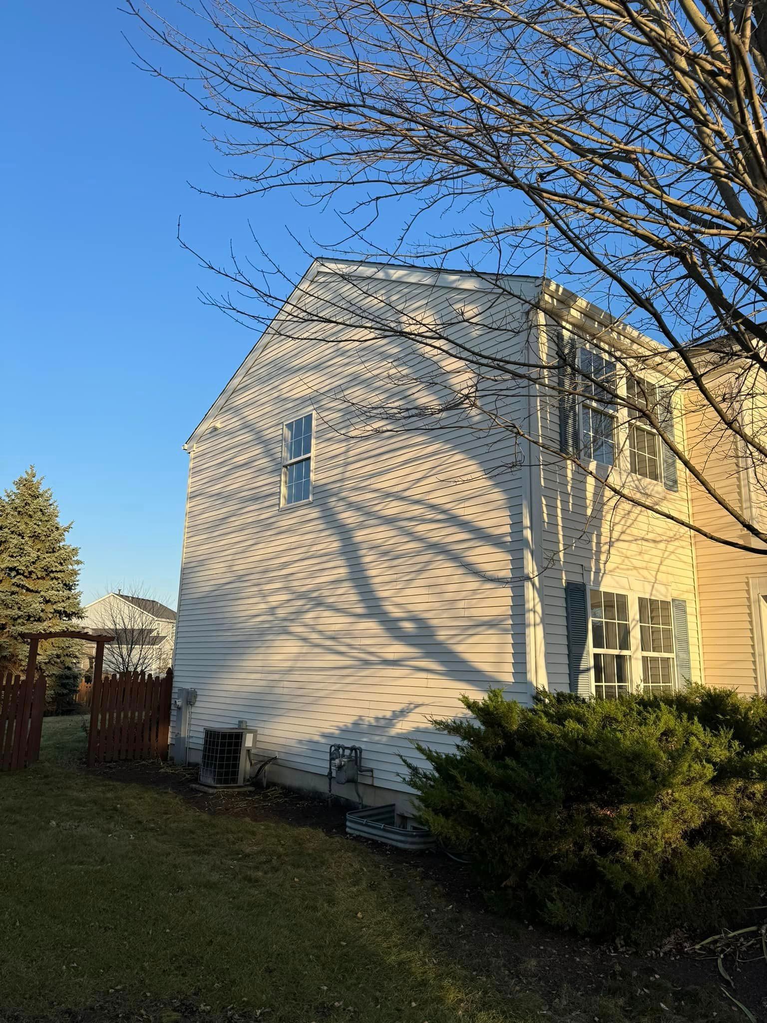 The shadow of a tree is cast on the side of a house