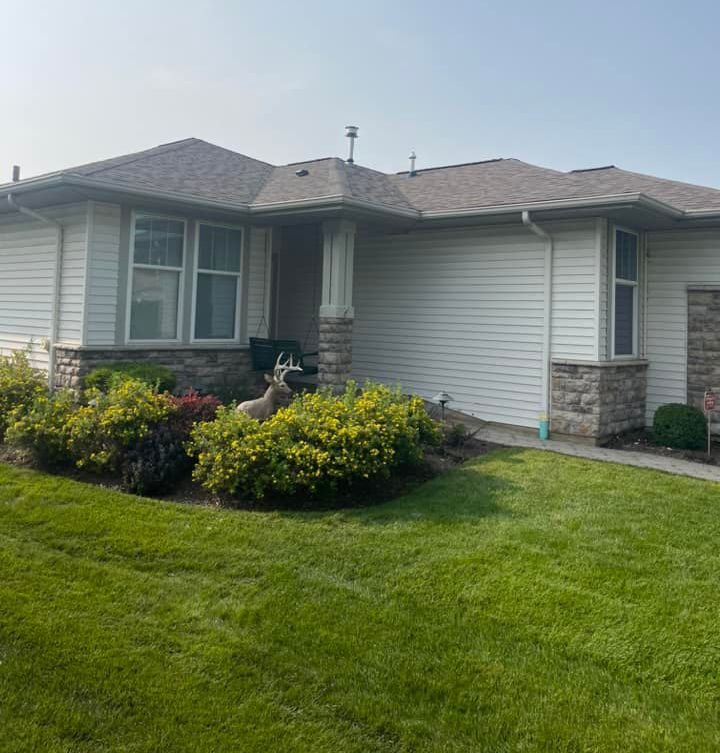 A white house with a deer statue in front of it