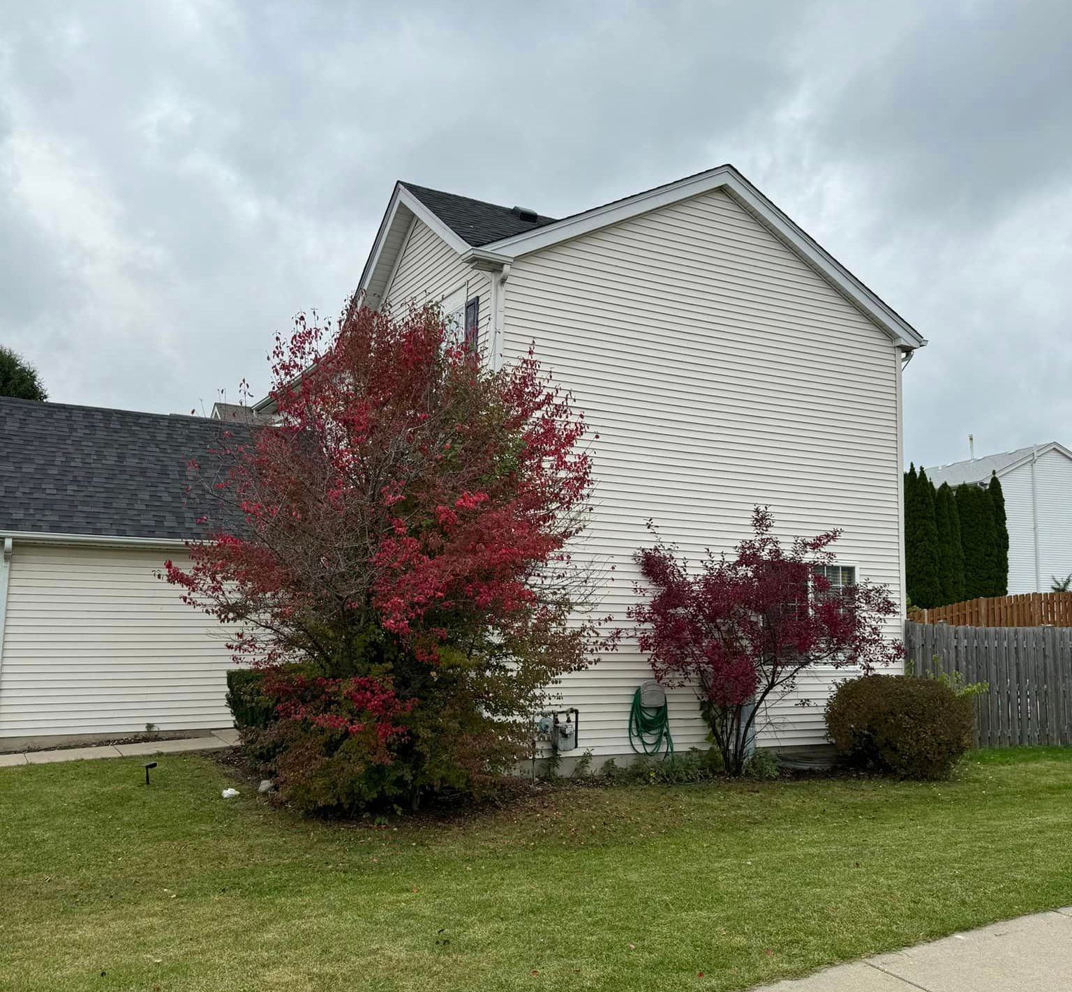 A white house with a red tree in front of it