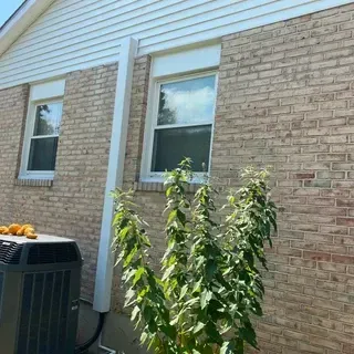 A side view of a brick house with two white-framed windows, a white downspout, an AC unit, and a tall green plant.
