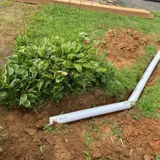 A white PVC drainage pipe runs through a shallow trench in a grassy yard, positioned next to a large hosta plant.