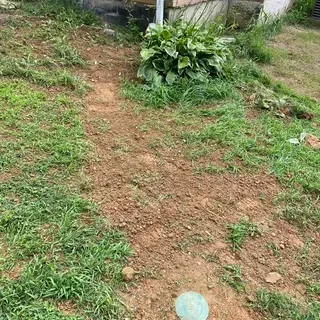A patch of bare, reddish-brown dirt runs through a green lawn, leading toward a leafy green hosta plant by a house corner.