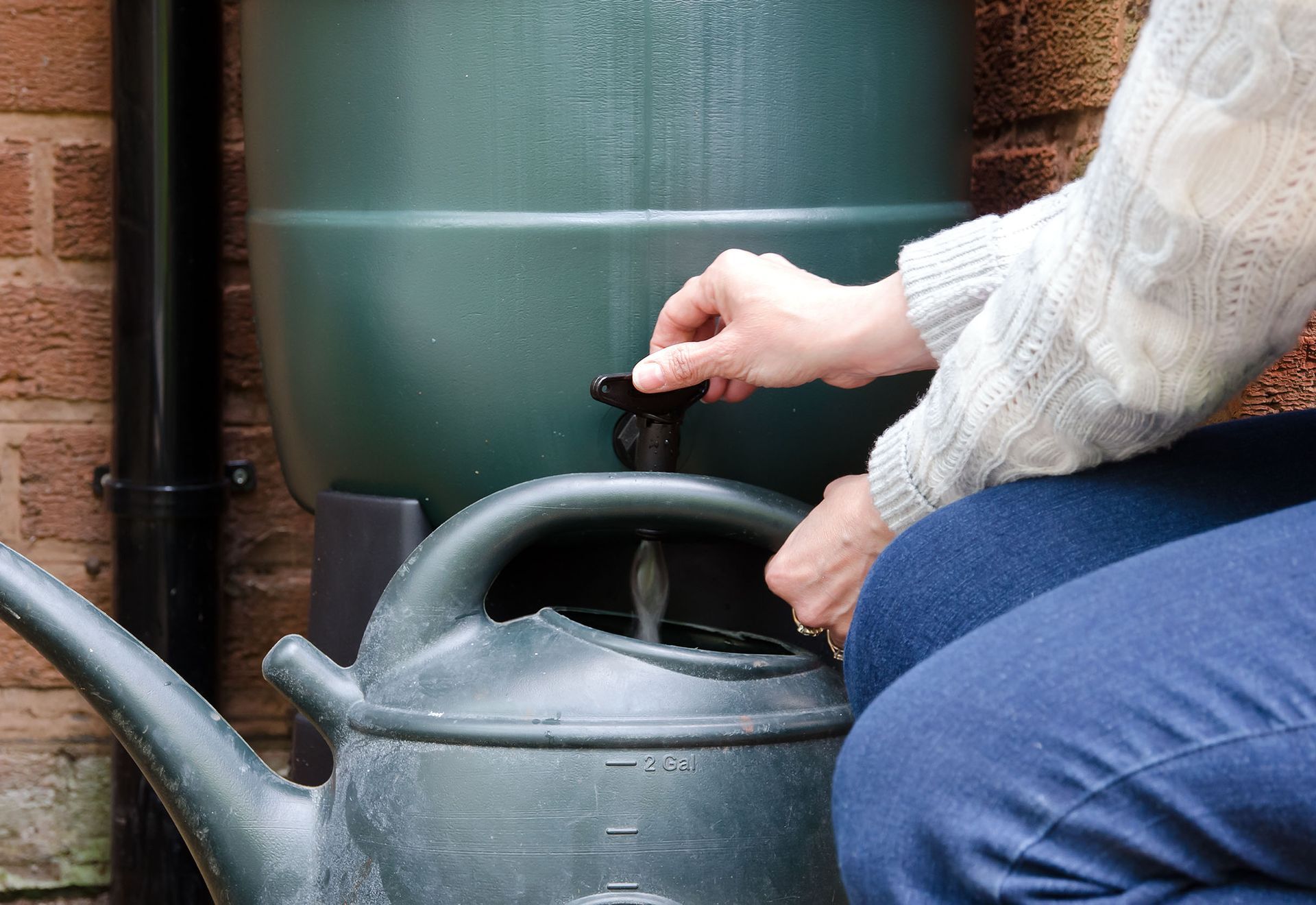 Person filling a watering can from a rain barrel, outdoors.