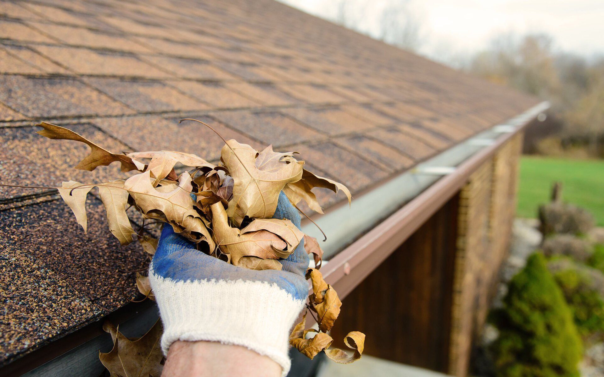 Gloved hand removing leaves from a brown gutter on a roof.