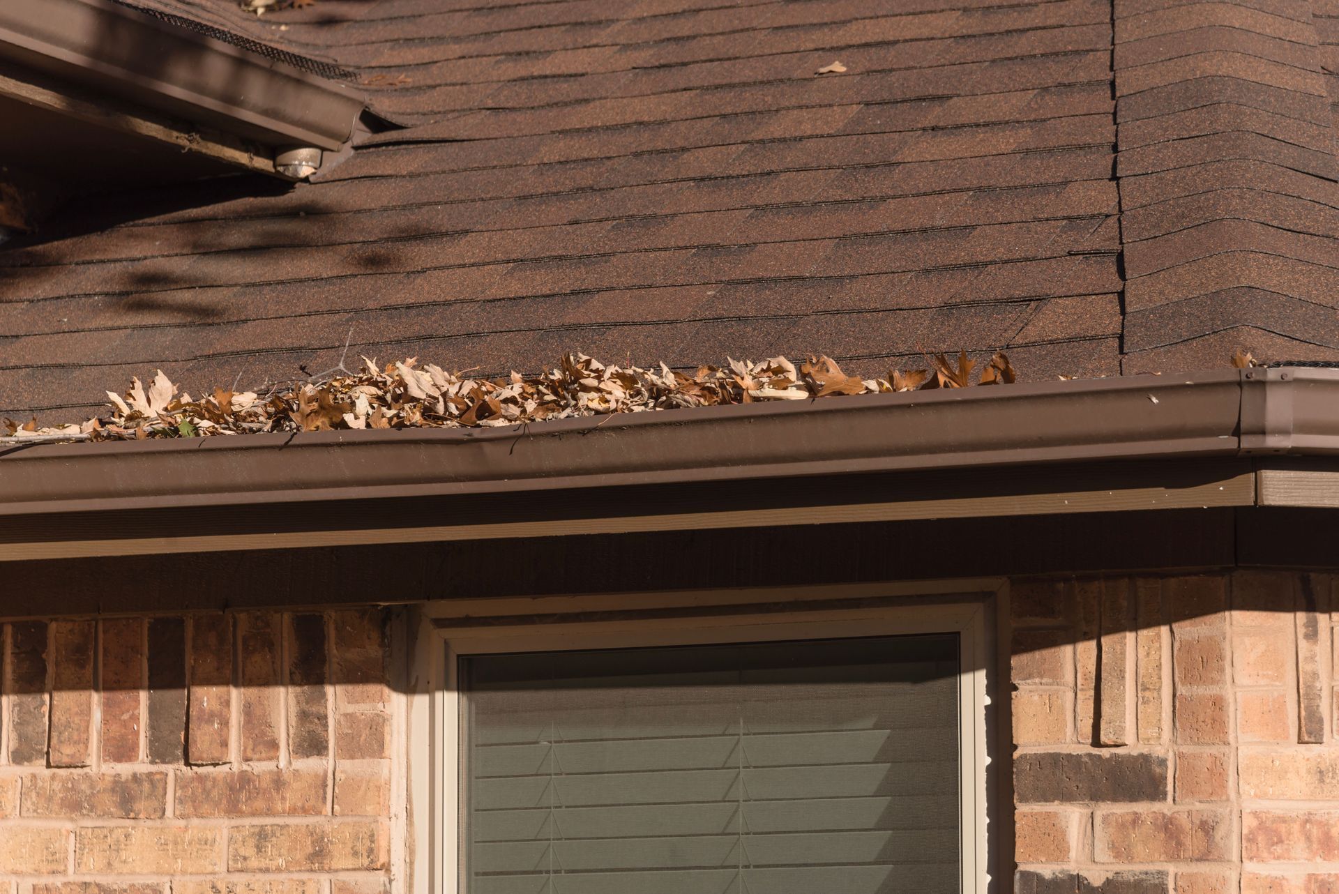 Brown roof with gutter filled with leaves, above a brick wall and window.