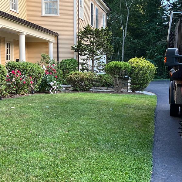 Osorio Landscaping and Tree Services