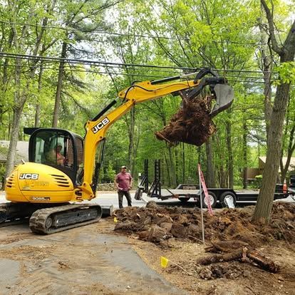 Yellow JCB excavator lifting a tree stump beside a trailer in a wooded roadside worksite
