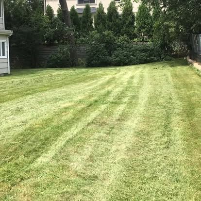 Mowed grassy backyard with striped lawn, trees, and a house edge on the left.