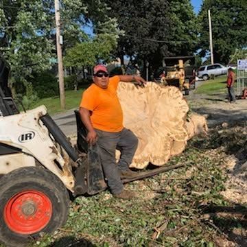 Man in orange shirt posing on a skid steer beside a huge uprooted tree stump on a grassy roadside.