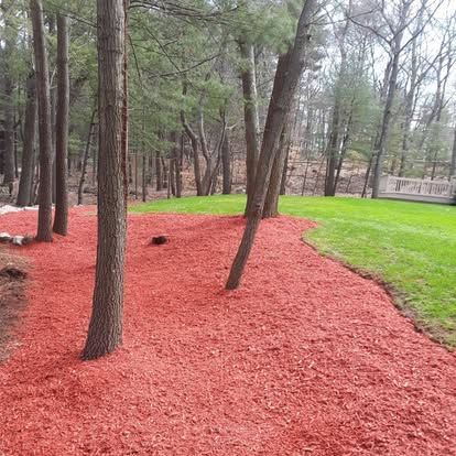 Wooded landscape with red mulch groundcover and a bright green lawn beside trees