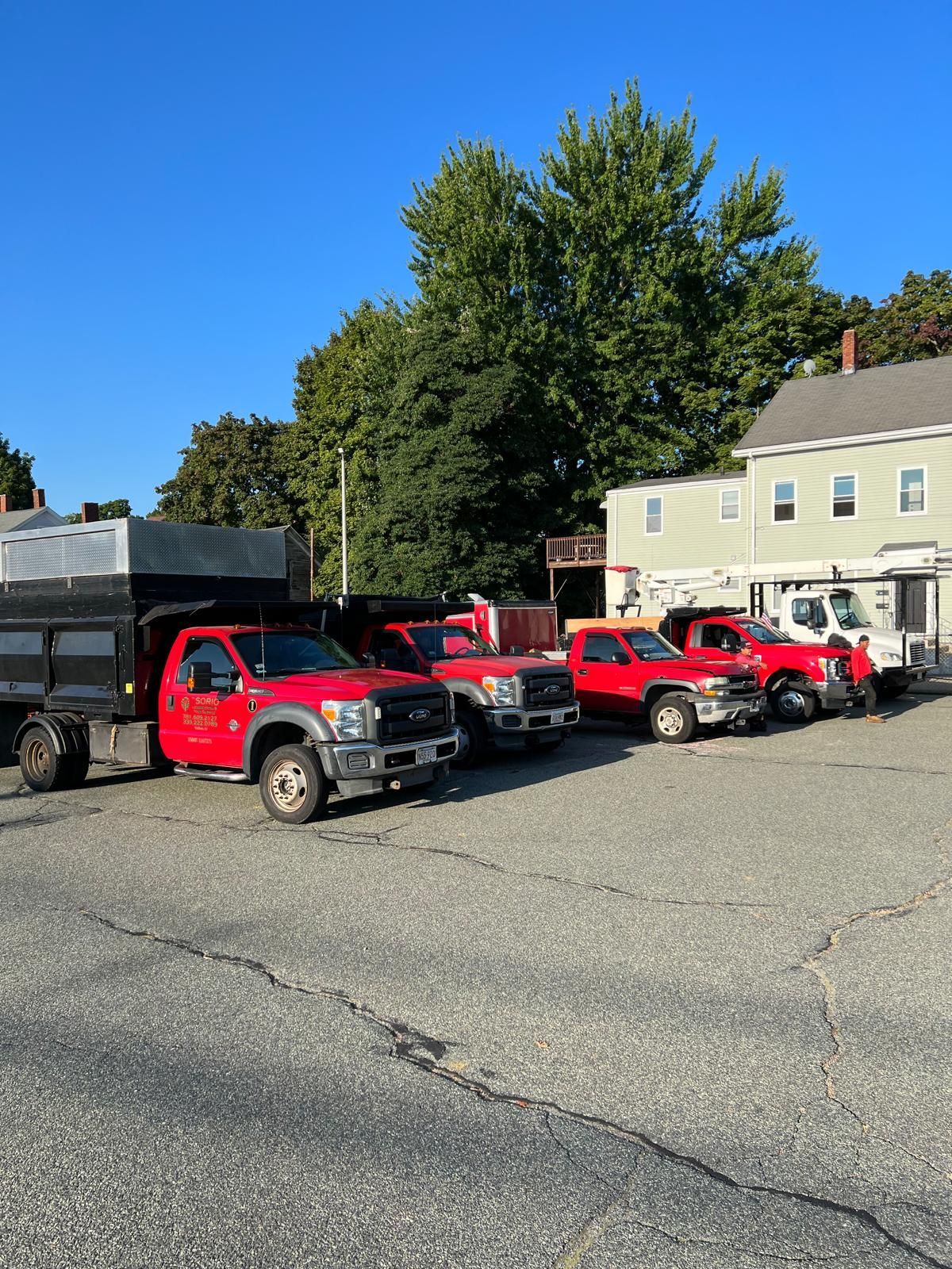Red pickup trucks and a black truck parked outside a light-colored building on a sunny day.