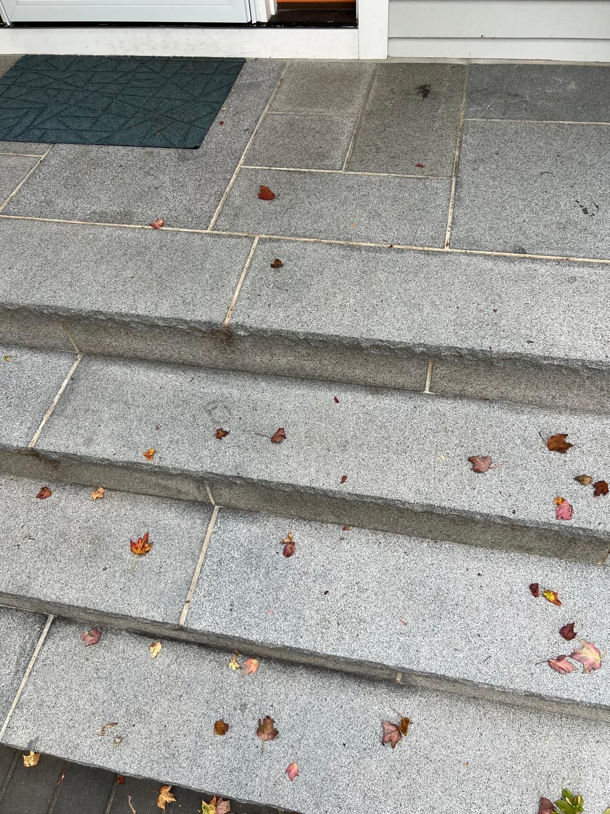 Concrete steps with fallen autumn leaves leading to a doorway