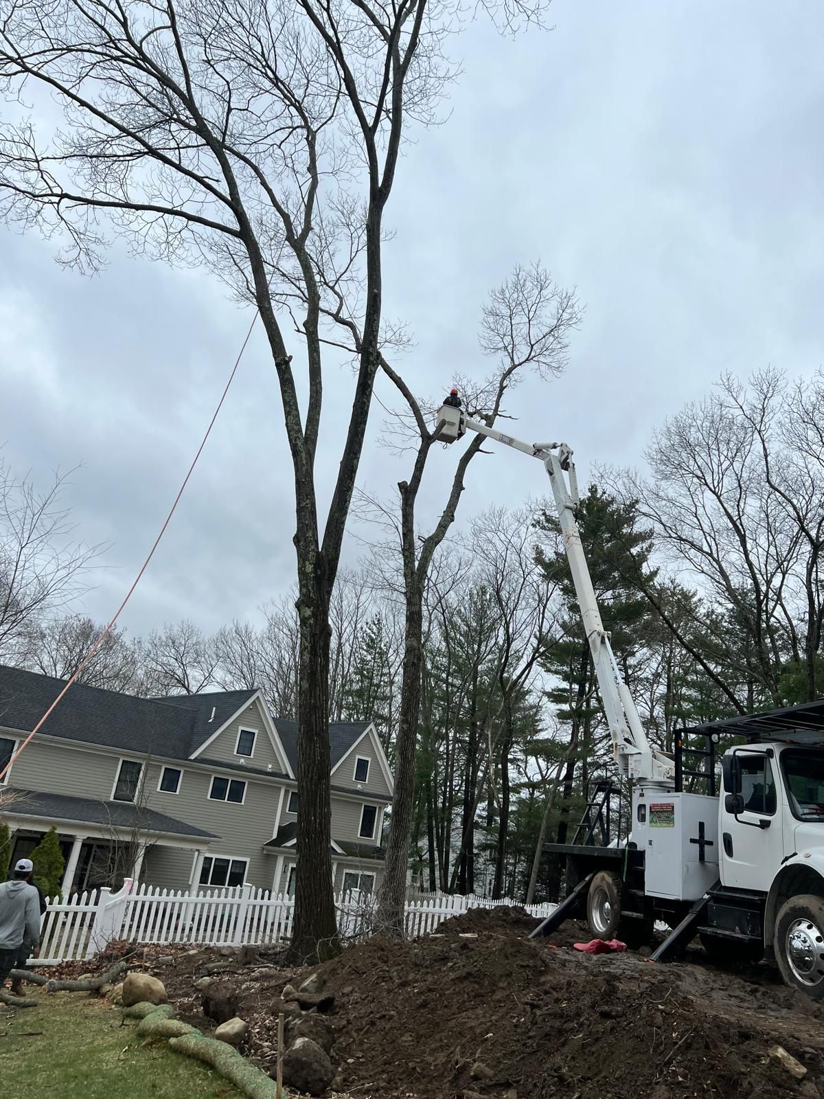Tree removal crew using a crane beside a house in a wooded yard