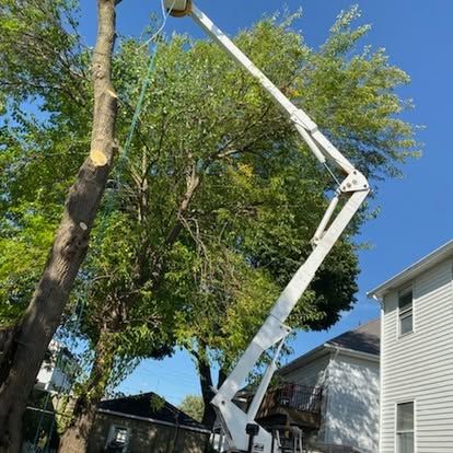 Bucket truck trimming a tall tree beside a white house under a blue sky