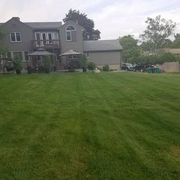 Osorio Landscaping and Tree Services