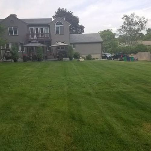 Osorio Landscaping and Tree Services