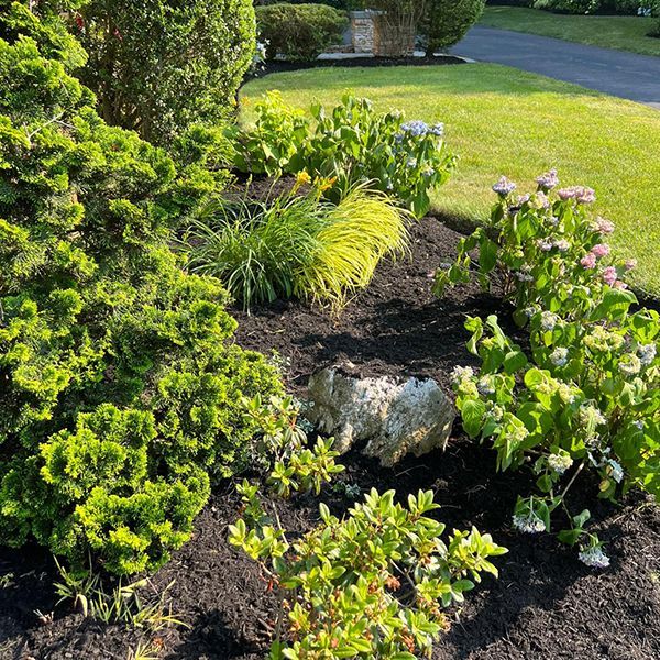 Osorio Landscaping and Tree Services