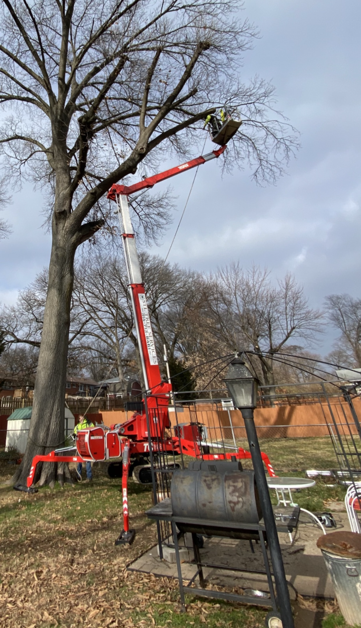 A tree service worker in a lift basket is trimming a large tree in a yard.