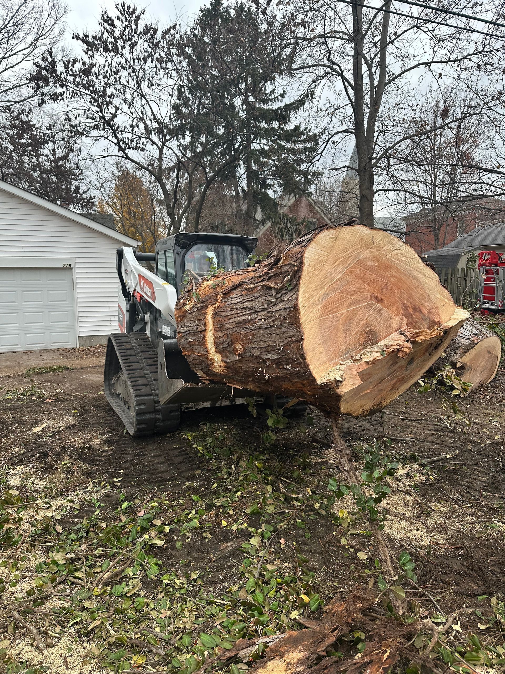 A Bobcat skid steer holding a large tree trunk, in a yard with a garage.