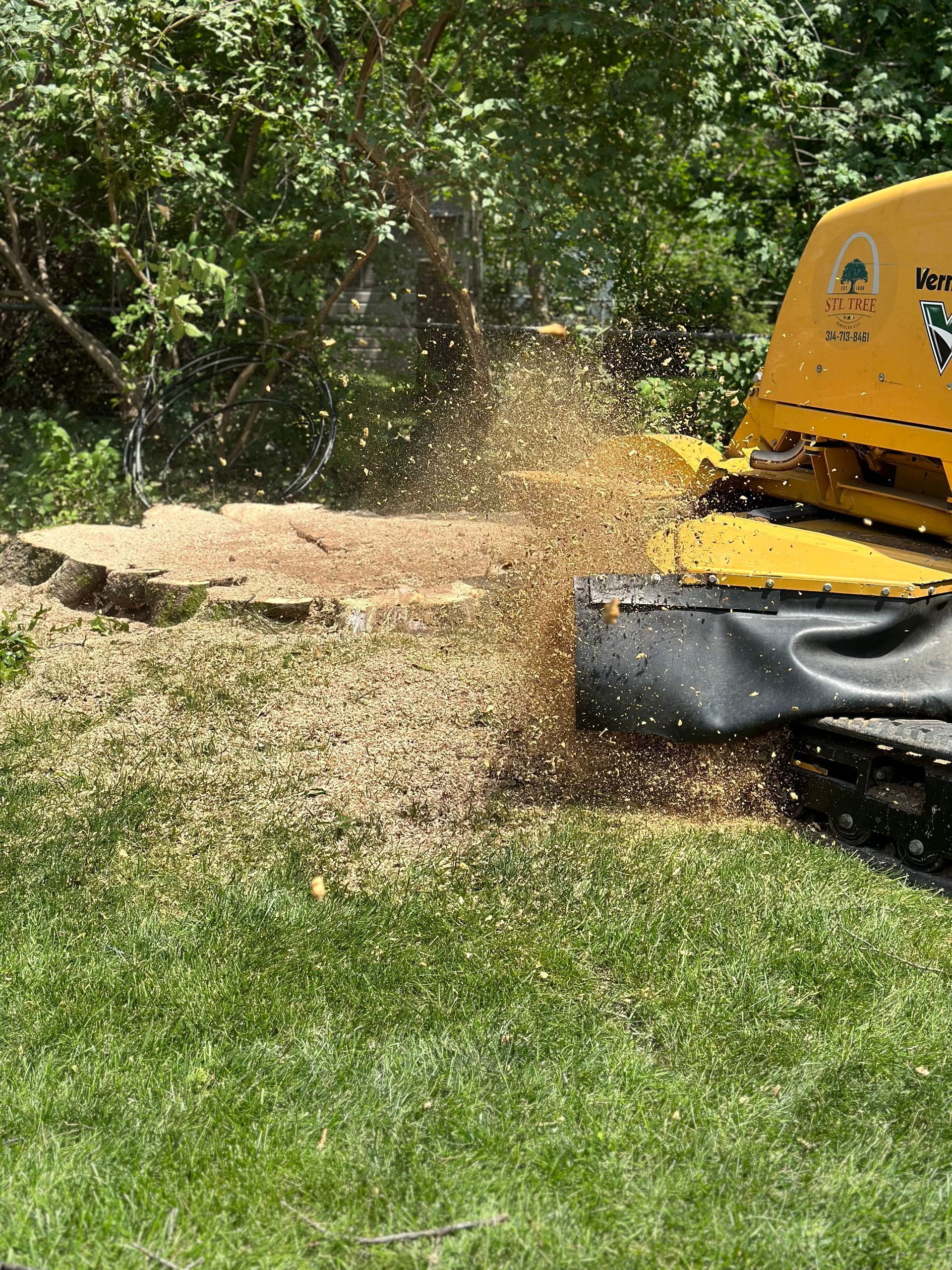 Yellow stump grinder grinding a tree stump in a grassy area, creating wood chips.