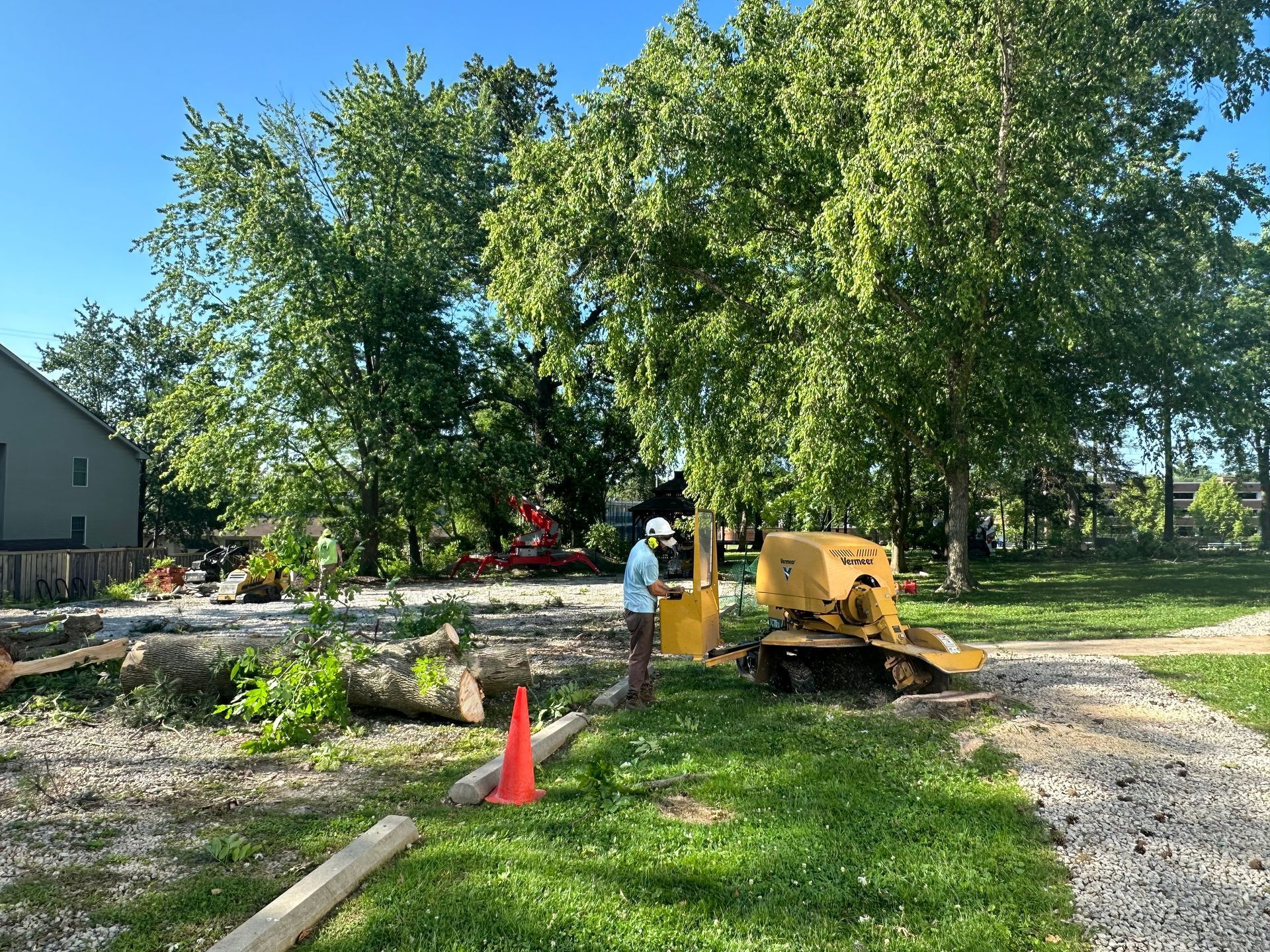 Man operating a yellow stump grinder to remove a tree stump in a yard with grass and gravel.