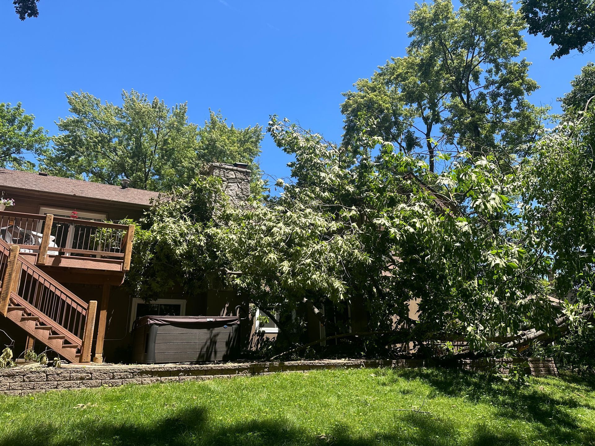 Tree branches fallen on a house with a deck and hot tub, grass and blue sky visible.