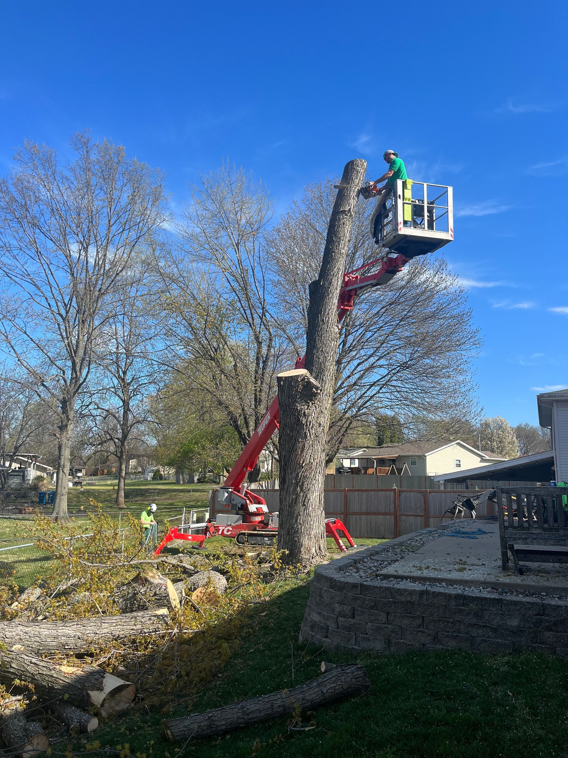 Tree service worker in a lift trimming a tree. Red lift, blue sky, debris on ground.