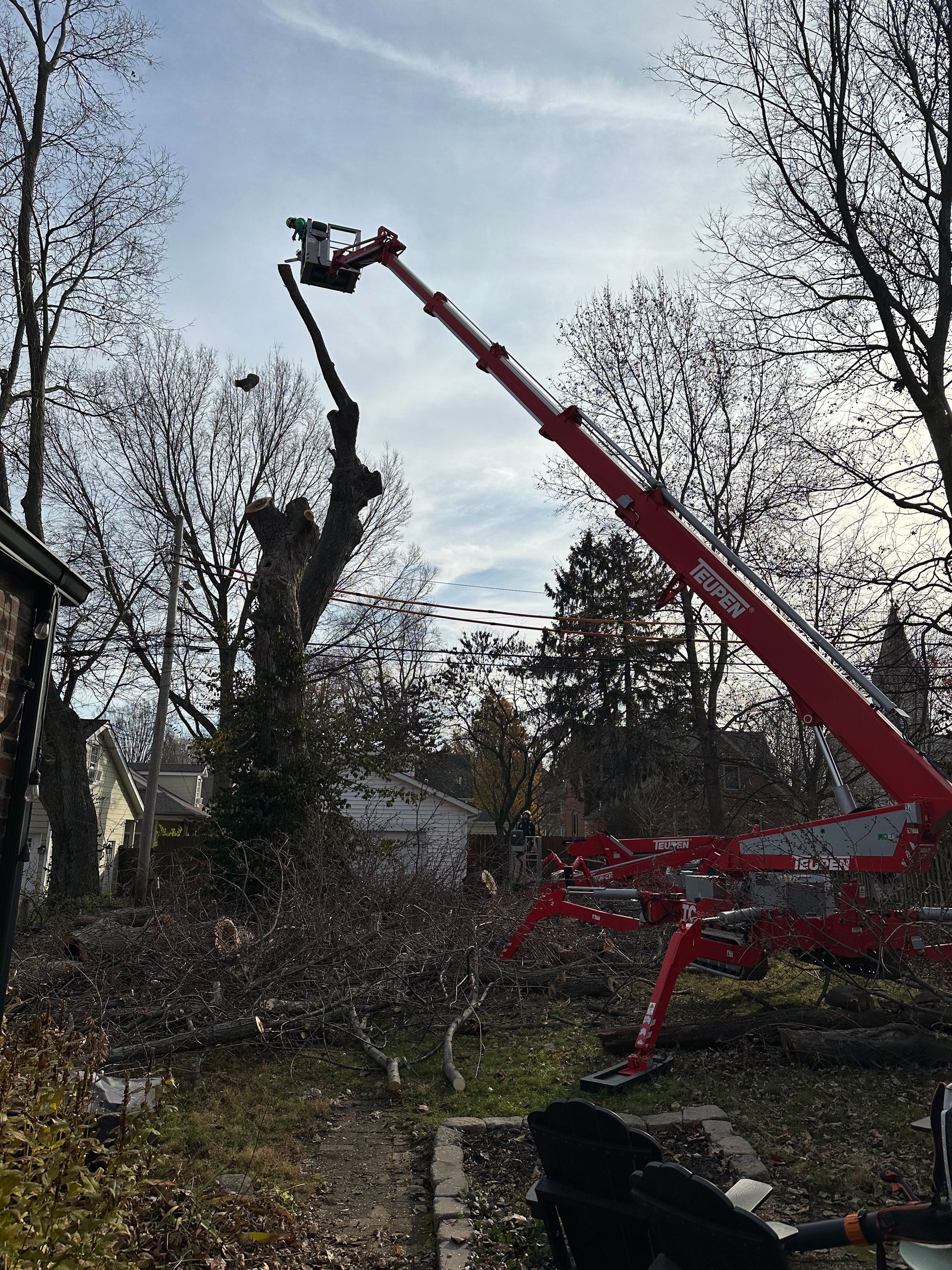 Red lift truck trimming a tree; outdoor setting.