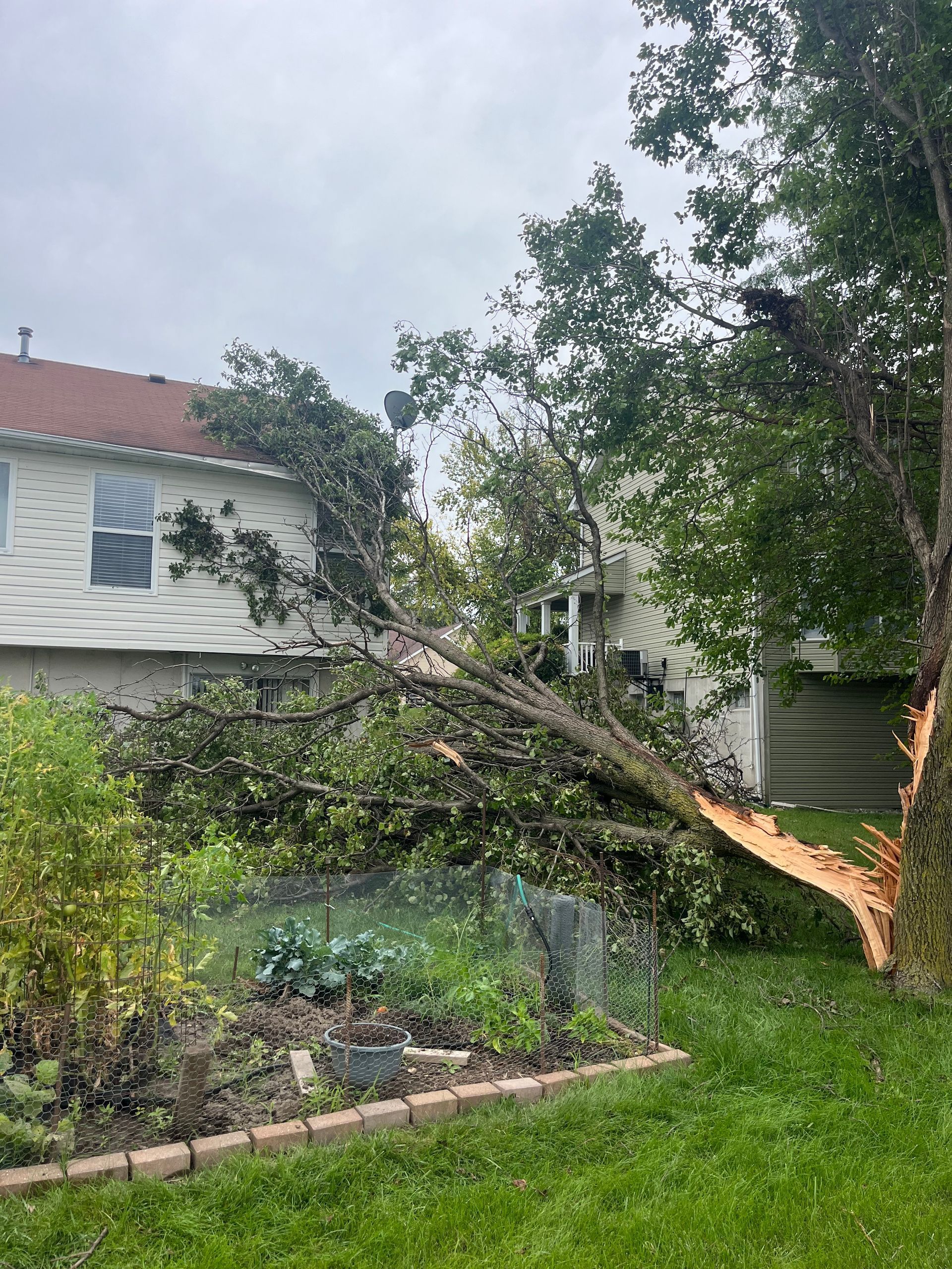 Tree limb broken, fallen on house roof, green yard, cloudy sky.