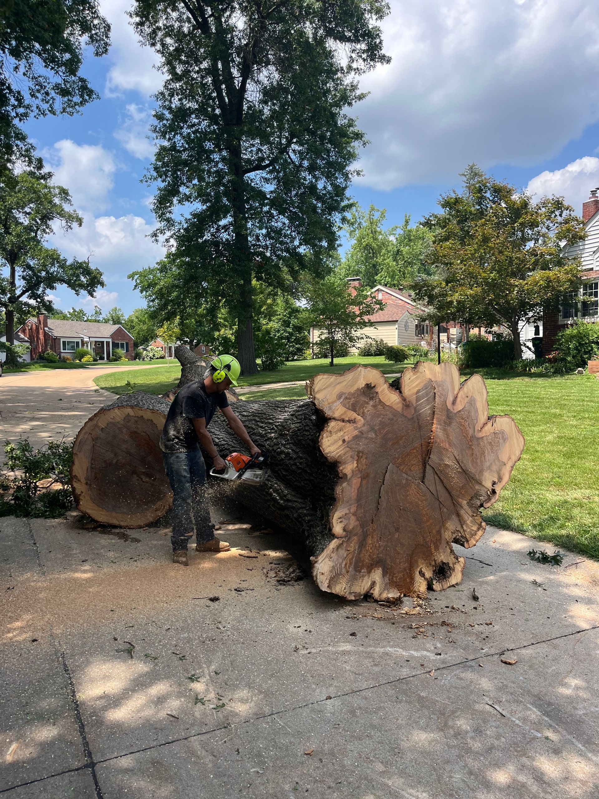 Person using chainsaw to cut large tree trunk on a paved street. Green helmet, sunny day, residential neighborhood.