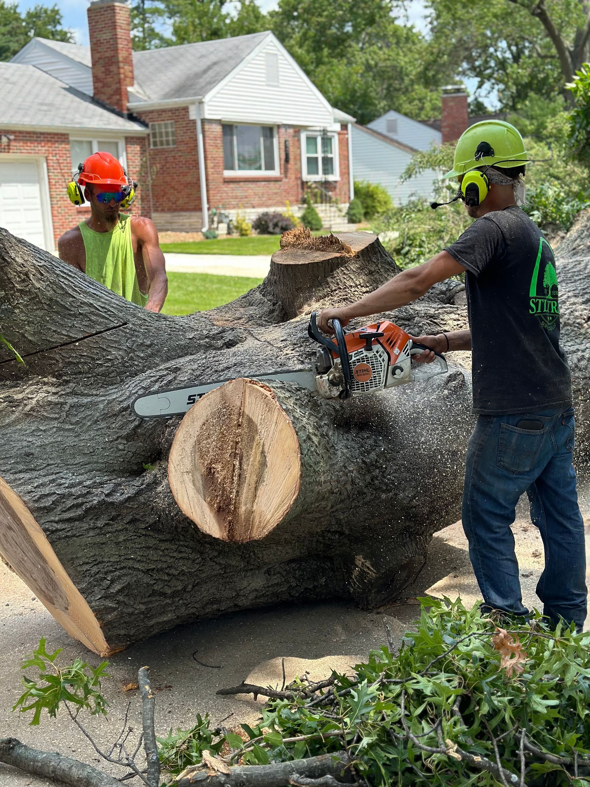 Two people cutting a tree trunk with a chainsaw; one in green and orange safety gear, outdoors in a suburban setting.
