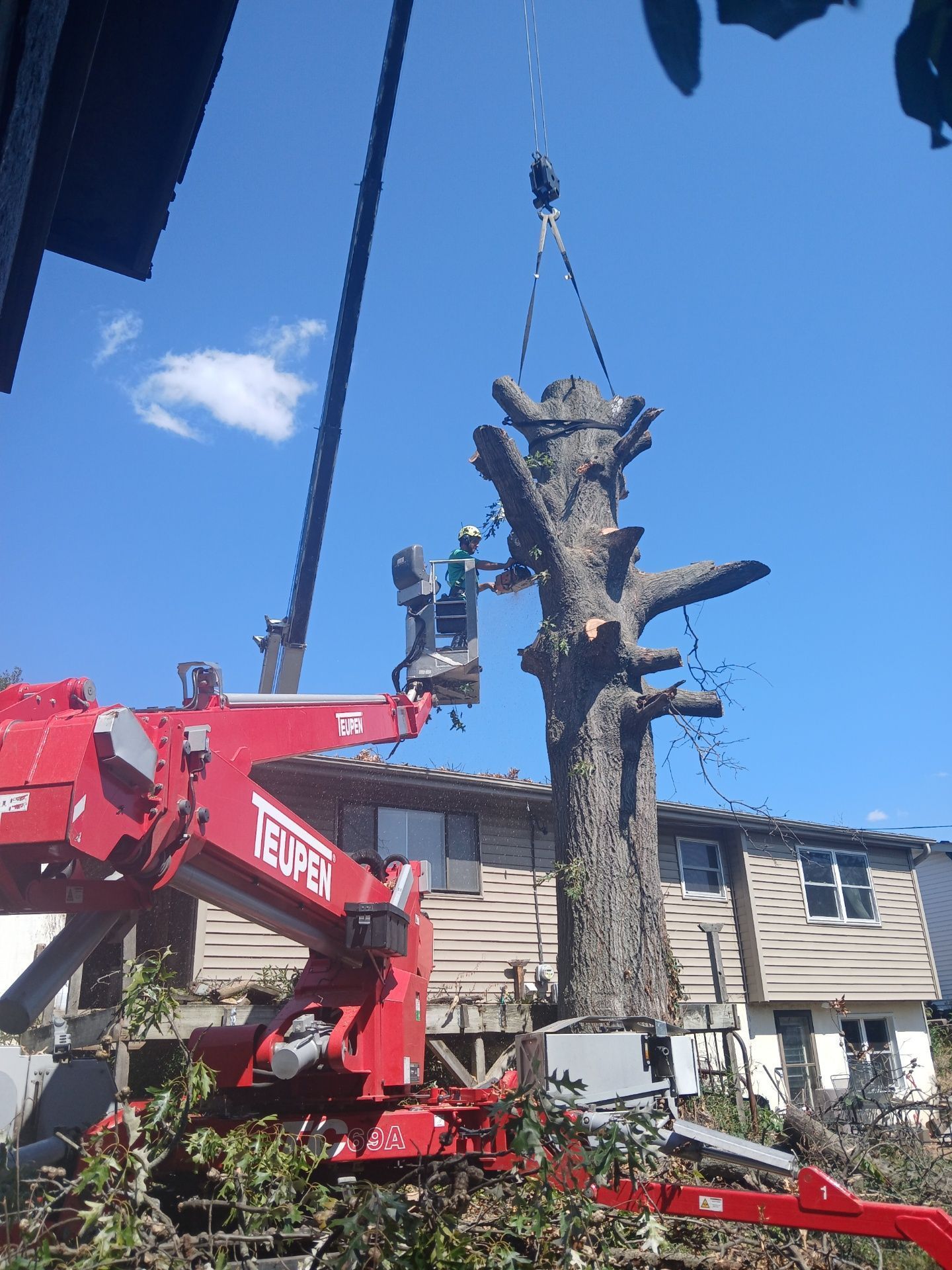 Crane lifting a large tree trunk; worker in lift bucket trimming branches against blue sky.