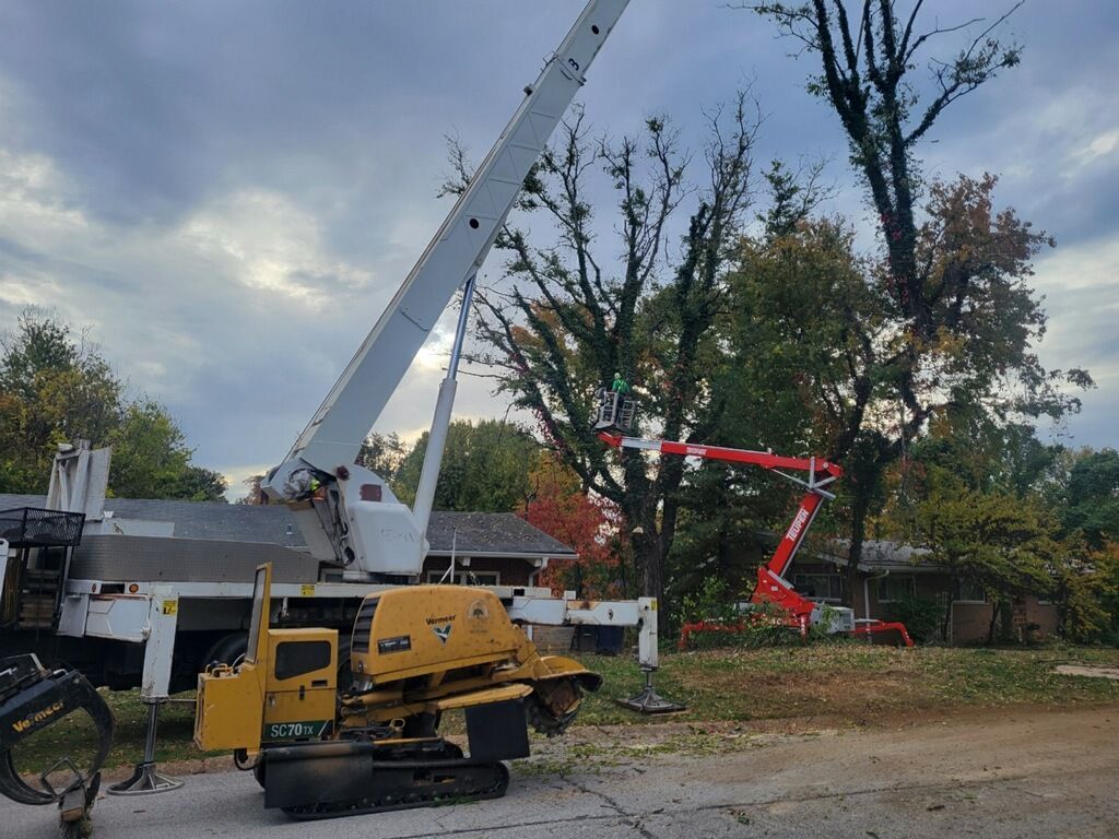 Tree trimming with a large white crane and red aerial lift.