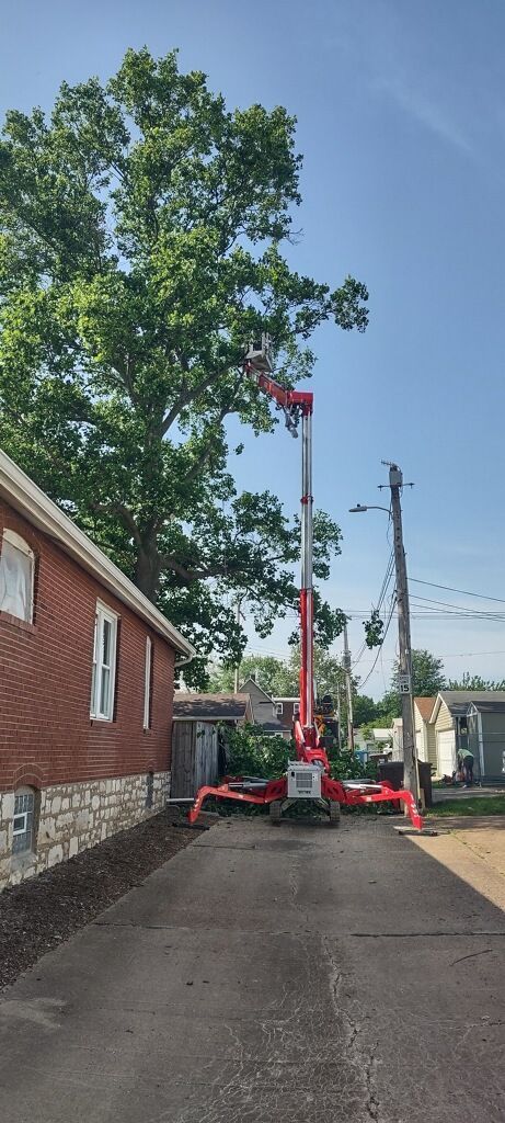 A cherry picker trims a tall tree in an alley. Red brick building and utility pole visible.