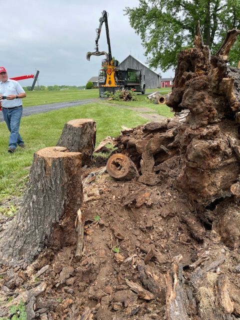 Tree stump being removed with machinery, man watches in field near a barn.