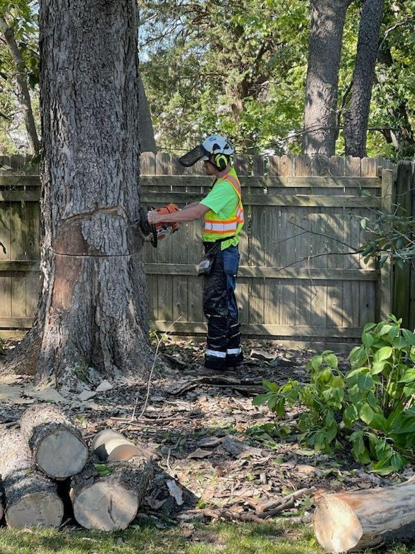Person wearing safety gear using a chainsaw to cut a tree trunk near a wooden fence and logs.