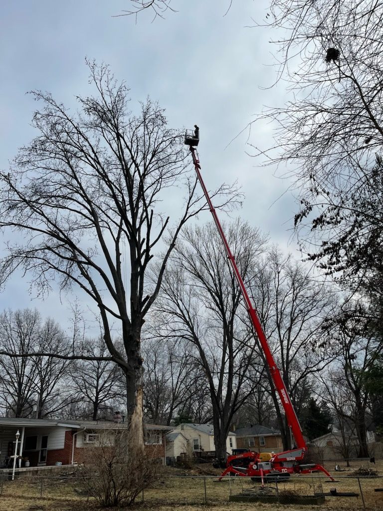 A cherry picker with a person in the bucket trims a tall tree next to a house under a cloudy sky.