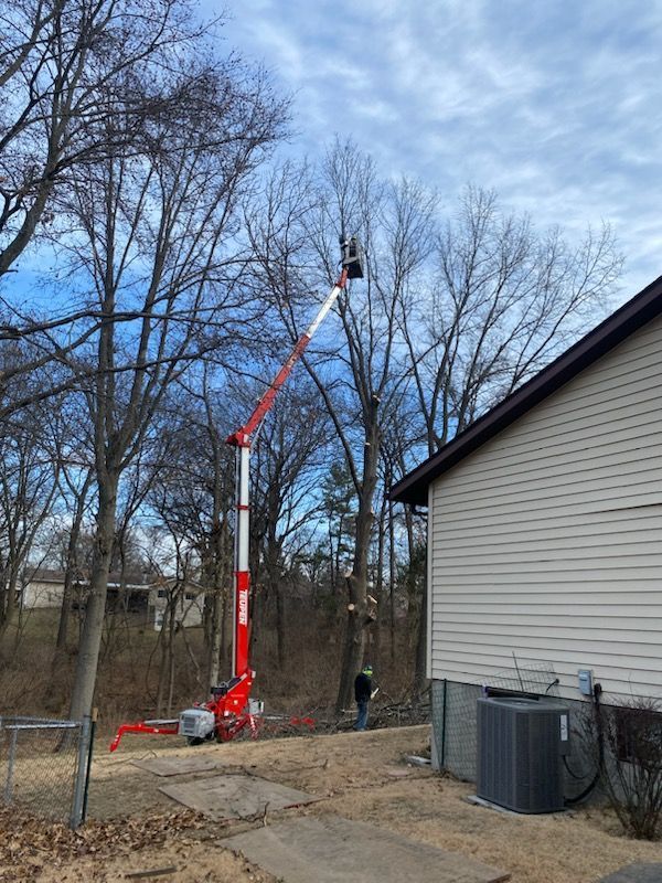Tree trimming with a red lift by a light-colored building under a cloudy sky.