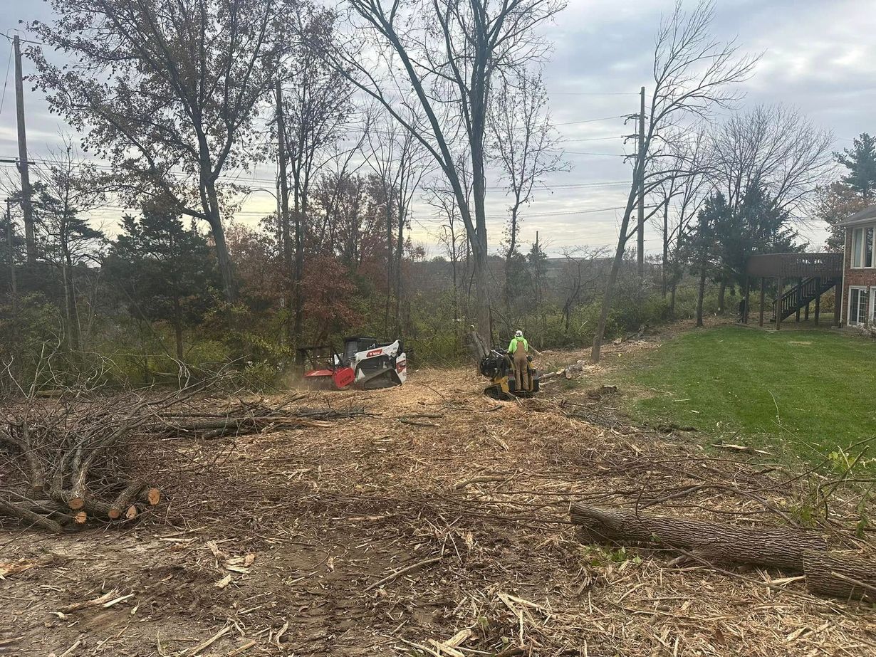 STL Tree Services