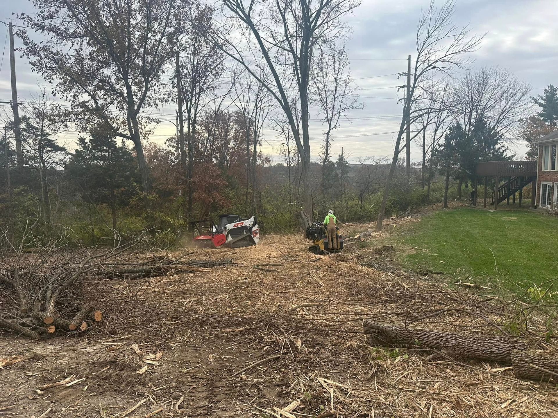 STL Tree Services